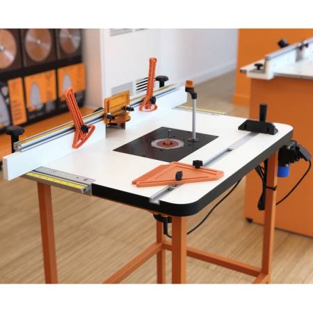 GUÍA GRADUADA TRANSVERSAL