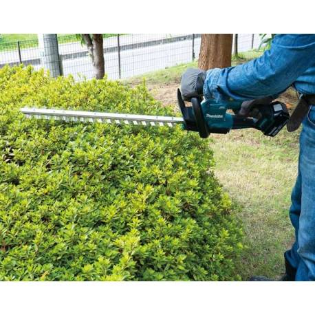 Cortasetos 18V LXT 60cm BL