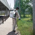FUMIGADOR JARDIN DE MOCHILA 18V LXT 15L