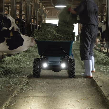 Carretilla 18Vx2 LXT 300Kgs BL c/depósito
